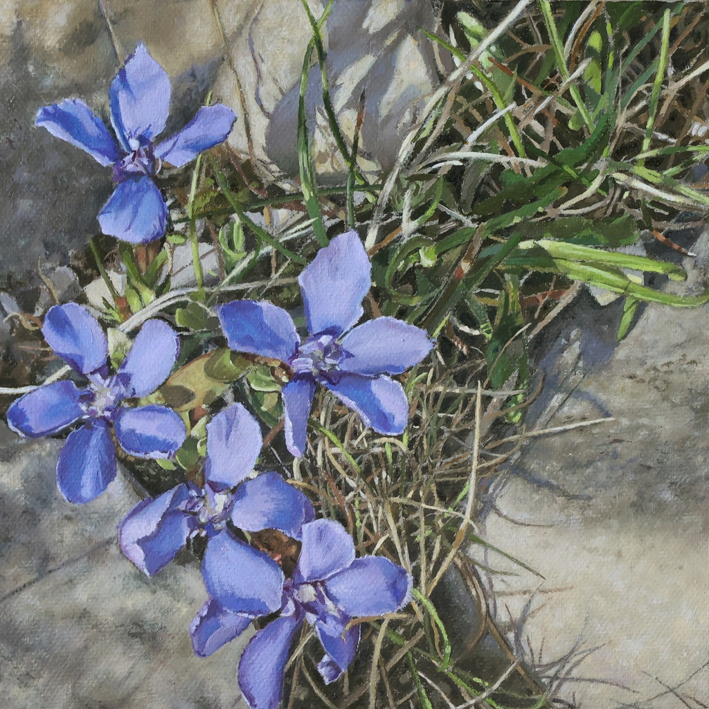 "Hidden Gentians" Julie Brennan 