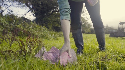 [SO25FindingMyPlaceÁineRyan] "Finding My Place" Áine Ryan