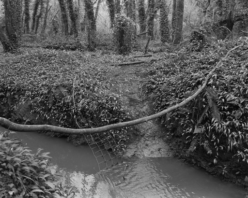 [SO25Landless1AlecMoore] "Landless #1" Alec Moore