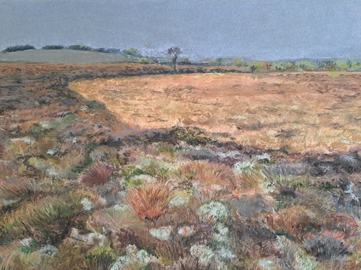 [SO25ClondorneyBog2CaitrionaOSullivan] "ClondorneyBog2" Caitriona O'Sullivan