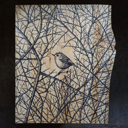 [SO25GoldcrestDunjaNadjezjdaHak] "Goldcrest" Dunja Nadjezjda Hak