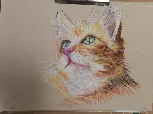 [SO25AnCatSiobhánLowry] "An Cat" Siobhán Lowry