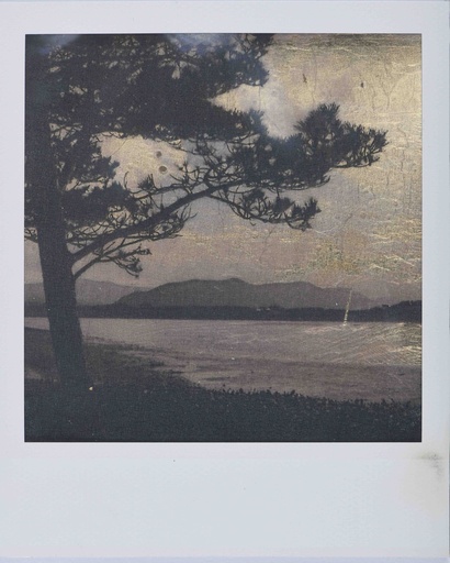 [SO25TheGoldenHourClaireForward] "The Golden Hour" Claire Forward