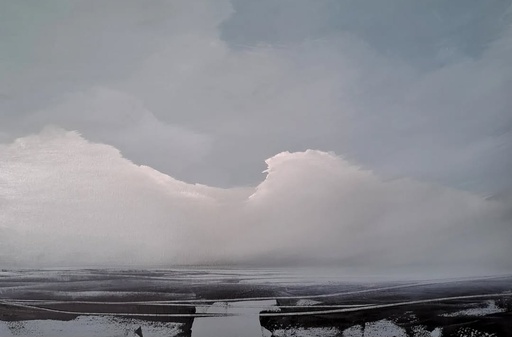 [SO25FloodedPlainsPaulaKearney] "Flooded Plains"Paula Kearney